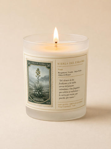 Velas Grandes Premium Blanco 200g