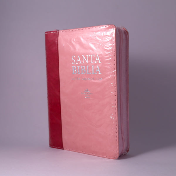 Biblia RVR 1960 046CLSGiPJRZTI ROSA/PINK
